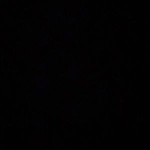 Meet your Posher, Shay